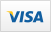 Pay with Visa